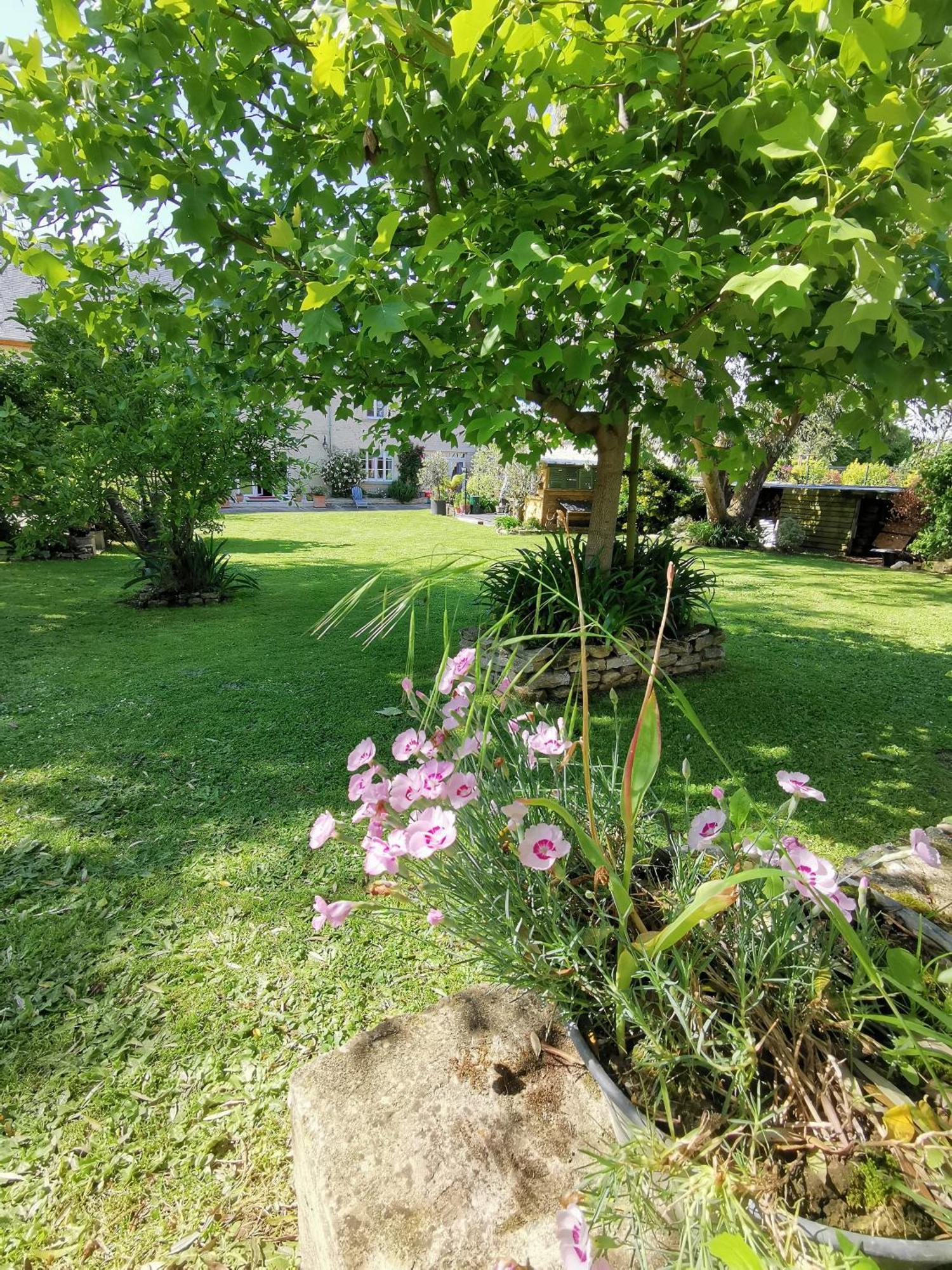 Chambre De L'Iris Sainte-Croix-sur-Mer Екстер'єр фото